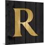 Gold Alphabet R-N. Harbick-Mounted Art Print