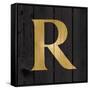 Gold Alphabet R-N. Harbick-Framed Stretched Canvas