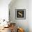 Gold Alphabet S-N. Harbick-Framed Art Print displayed on a wall