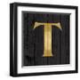 Gold Alphabet T-N. Harbick-Framed Art Print