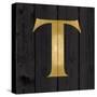 Gold Alphabet T-N. Harbick-Stretched Canvas