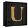Gold Alphabet U-N. Harbick-Framed Stretched Canvas
