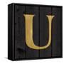 Gold Alphabet U-N. Harbick-Framed Stretched Canvas