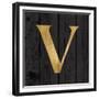 Gold Alphabet V-N. Harbick-Framed Premium Giclee Print