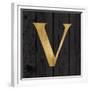 Gold Alphabet V-N. Harbick-Framed Premium Giclee Print