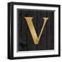 Gold Alphabet V-N. Harbick-Framed Art Print