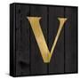 Gold Alphabet V-N. Harbick-Framed Stretched Canvas