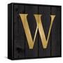 Gold Alphabet W-N. Harbick-Framed Stretched Canvas