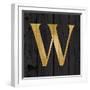 Gold Alphabet W-N. Harbick-Framed Art Print