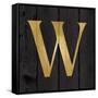 Gold Alphabet W-N. Harbick-Framed Stretched Canvas