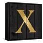 Gold Alphabet X-N. Harbick-Framed Stretched Canvas