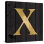 Gold Alphabet X-N. Harbick-Stretched Canvas