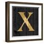 Gold Alphabet X-N. Harbick-Framed Art Print