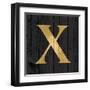 Gold Alphabet X-N. Harbick-Framed Art Print