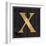 Gold Alphabet X-N. Harbick-Framed Art Print