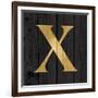 Gold Alphabet X-N. Harbick-Framed Art Print