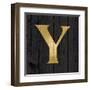 Gold Alphabet Y-N. Harbick-Framed Art Print