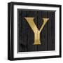 Gold Alphabet Y-N. Harbick-Framed Art Print