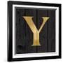 Gold Alphabet Y-N. Harbick-Framed Art Print