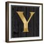 Gold Alphabet Y-N. Harbick-Framed Art Print