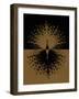 Gold and Black Peacock-null-Framed Art Print