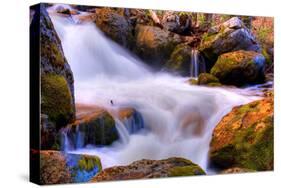 Gold and Blue Creek, Yosemite-Vincent James-Stretched Canvas