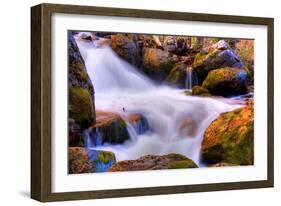 Gold and Blue Creek, Yosemite-Vincent James-Framed Photographic Print