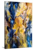 Gold And Blue Iris-Mary Smith-Stretched Canvas