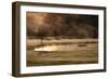 Gold and Copper-Kremena Nikolaeva-Framed Photographic Print