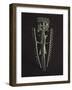 Gold and Copper-null-Framed Giclee Print