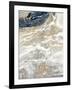 Gold And Gray Oasis-Roberto Gonzalez-Framed Art Print