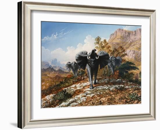 Gold and Ivory, Elephants Charging-Thomas Baines-Framed Art Print