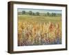 Gold and Red Field I-Tim OToole-Framed Art Print