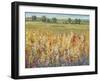 Gold and Red Field I-Tim OToole-Framed Art Print