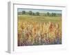 Gold and Red Field I-Tim OToole-Framed Art Print