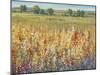 Gold and Red Field I-Tim OToole-Mounted Art Print
