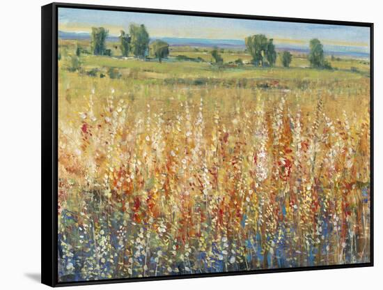 Gold and Red Field II-Tim OToole-Framed Stretched Canvas