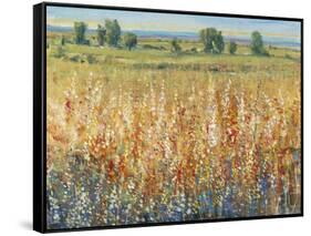 Gold and Red Field II-Tim OToole-Framed Stretched Canvas