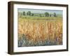 Gold and Red Field II-Tim OToole-Framed Art Print