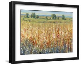 Gold and Red Field II-Tim OToole-Framed Art Print