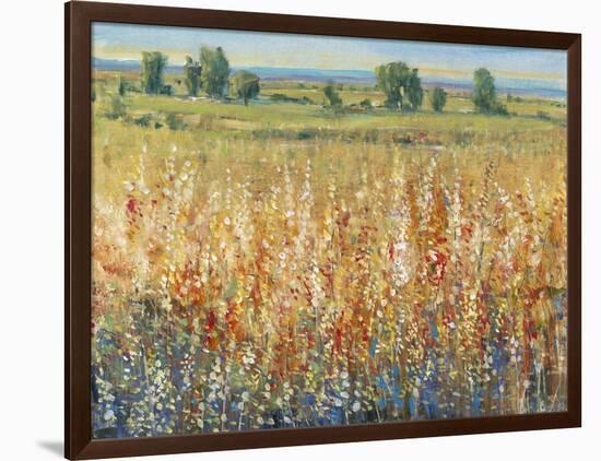 Gold and Red Field II-Tim OToole-Framed Art Print