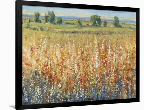 Gold and Red Field II-Tim OToole-Framed Art Print