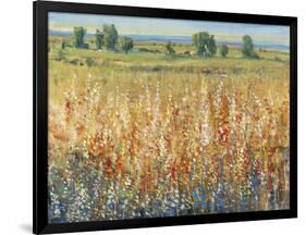 Gold and Red Field II-Tim OToole-Framed Art Print