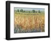 Gold and Red Field II-Tim OToole-Framed Art Print