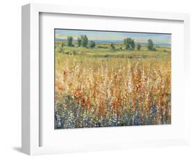 Gold and Red Field II-Tim OToole-Framed Art Print