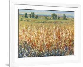 Gold and Red Field II-Tim OToole-Framed Art Print