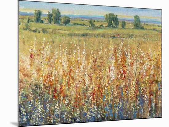 Gold and Red Field II-Tim OToole-Mounted Art Print