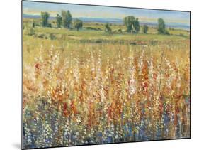 Gold and Red Field II-Tim OToole-Mounted Art Print