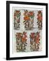 Gold and Silver Brocade from Isfahan, Iran, Early 17th Century-null-Framed Giclee Print