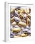 Gold and Silver Sugared Almonds-Michelle Garrett-Framed Photographic Print